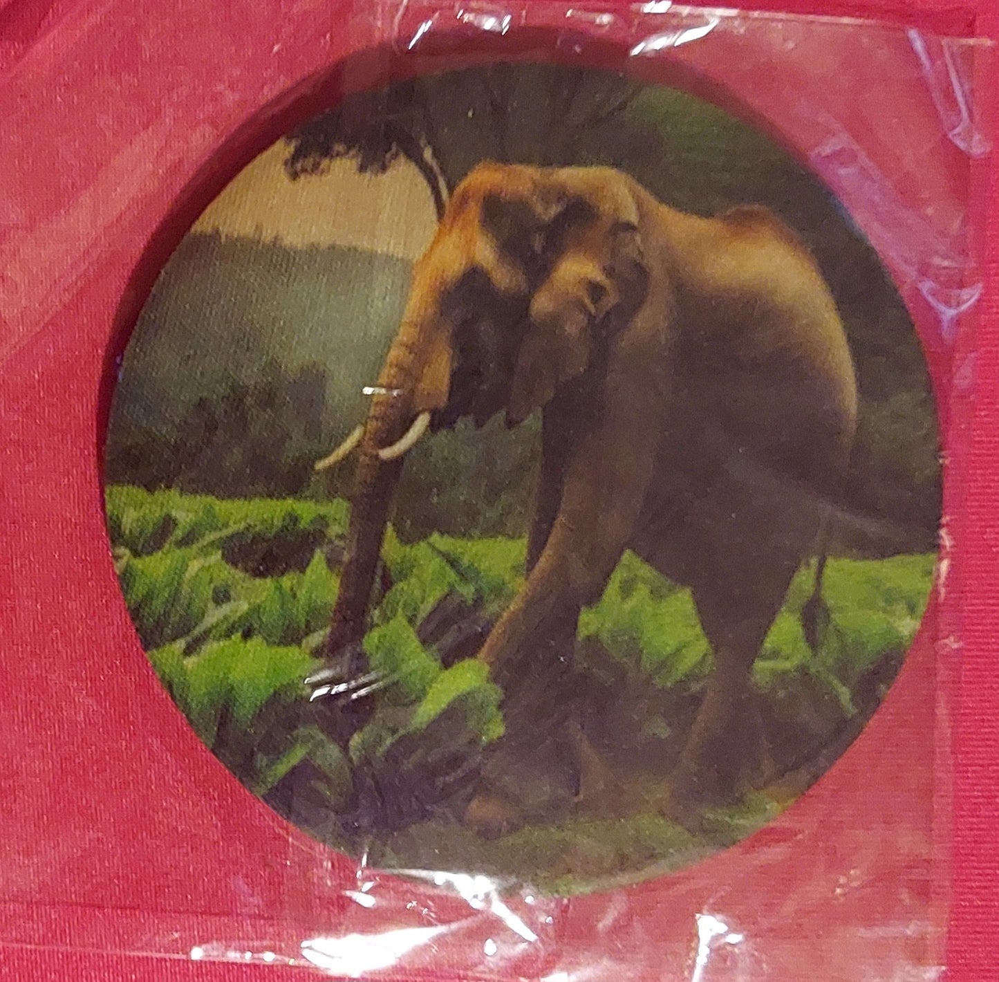 Coasters