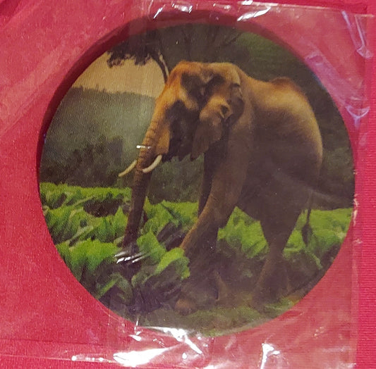 Coasters